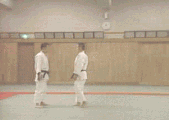 隅返