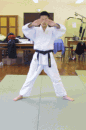 立姿勢前受身