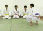 鴨仔行